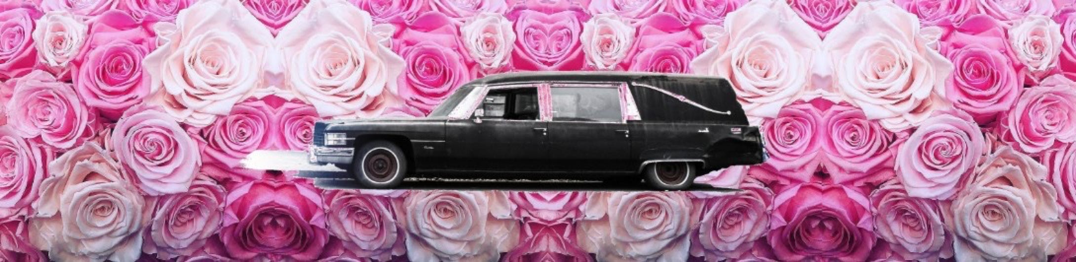 Ein alter Leichenwagen, eingebettet in ein Meer weißer und pinker Rosen 
